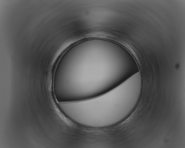 X0000091721131200708241013