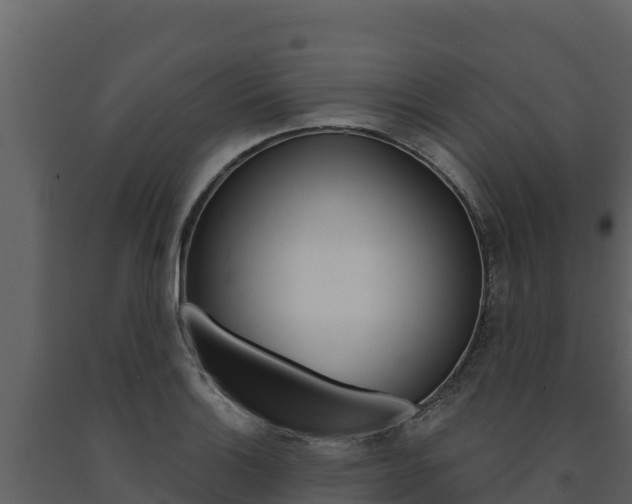 X0000091721132200708241013