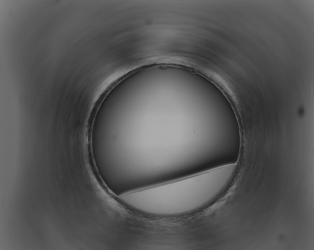X0000091721133200708241013