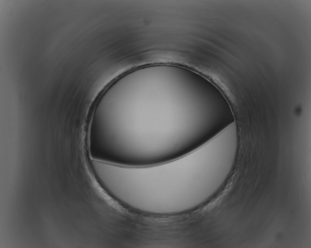 X0000091721134200708241013