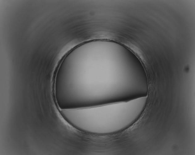 X0000091721135200708241013
