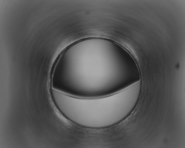 X0000091721136200708241013