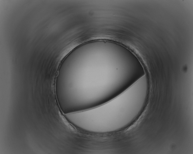 X0000091721137200708241013
