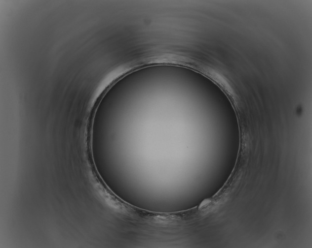 X0000091721138200708241013