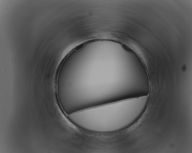 X0000091721141200708241013