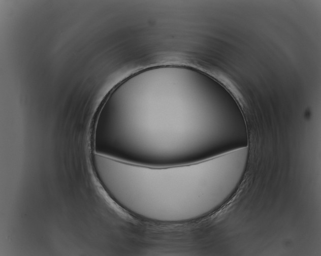 X0000091721142200708241013