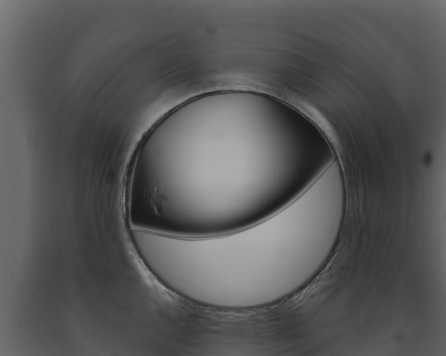 X0000091721144200708241013