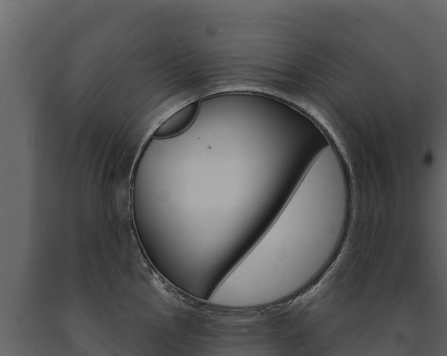X0000091721145200708241014