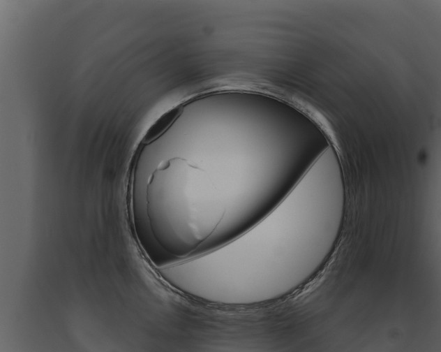 X0000091721146200708241014