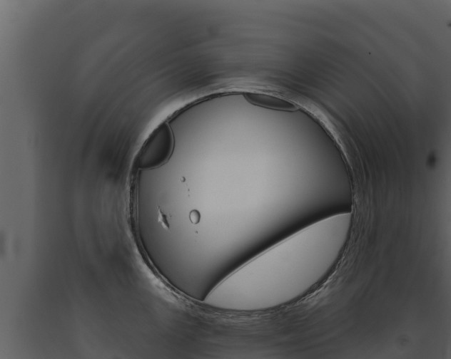 X0000091721147200708241014