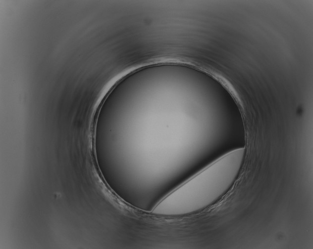 X0000091721148200708241014
