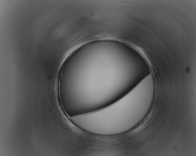 X0000091721149200708241014