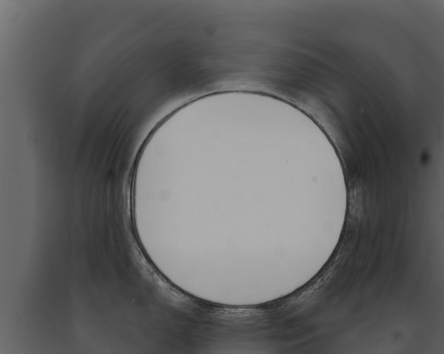 X0000091721150200708241014