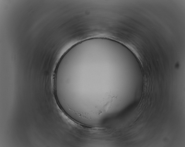 X0000091721151200708241014