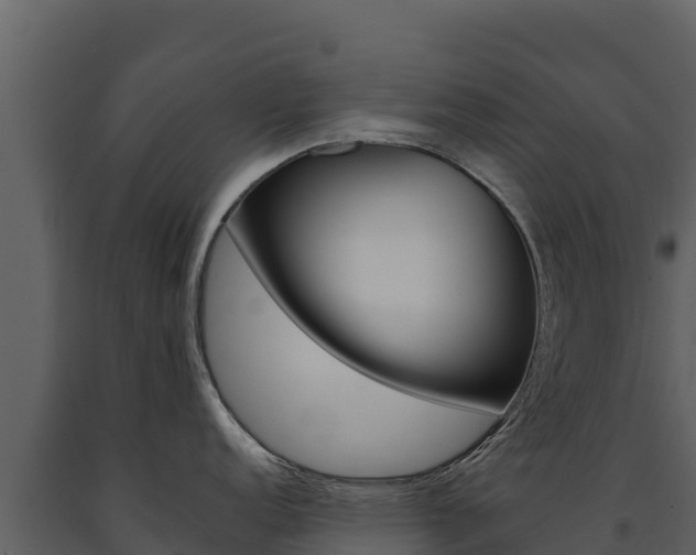 X0000091721152200708241014
