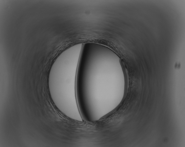 X0000091721153200708241013
