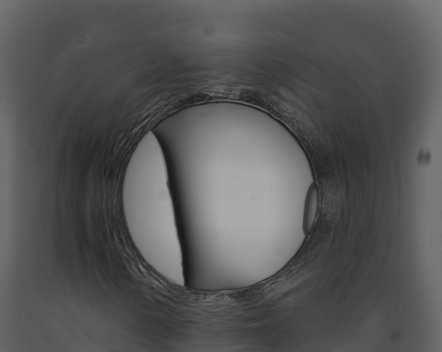 X0000091721154200708241013