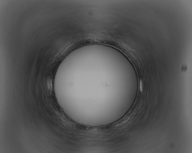 X0000091721155200708241013