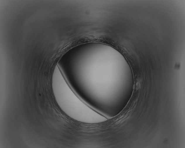 X0000091721156200708241013