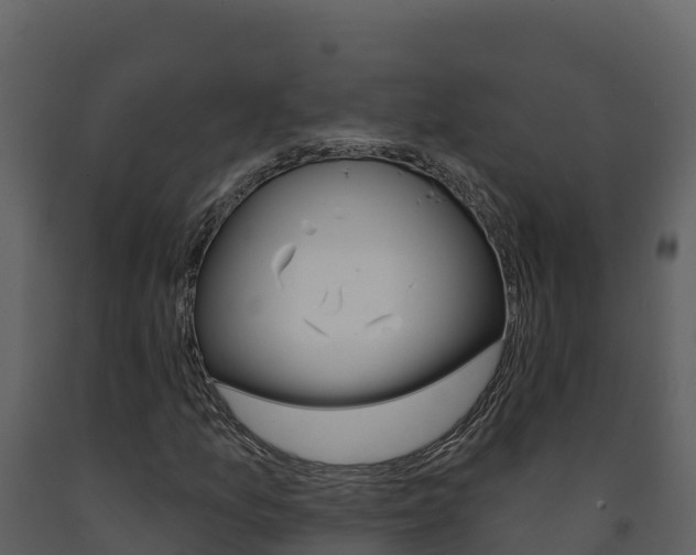 X0000091721157200708241013
