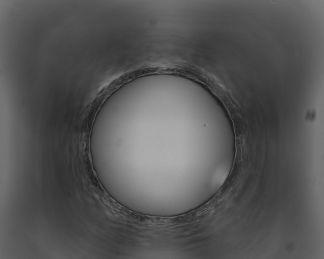 X0000091721158200708241013