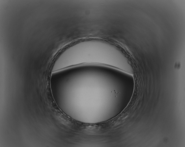 X0000091721160200708241013