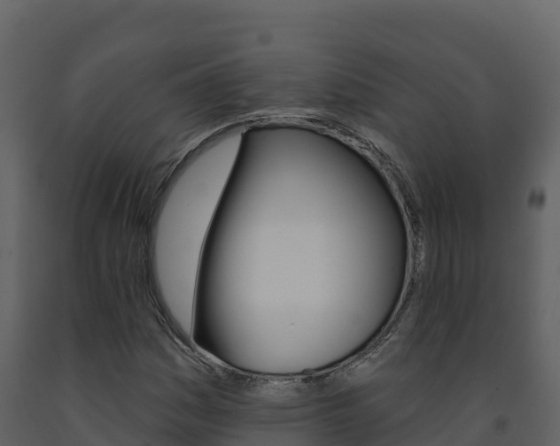 X0000091721161200708241013