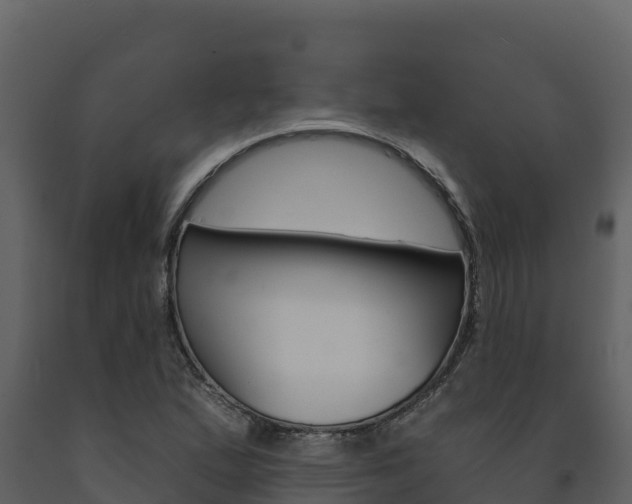 X0000091721167200708241013