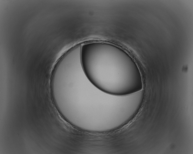 X0000091721168200708241013