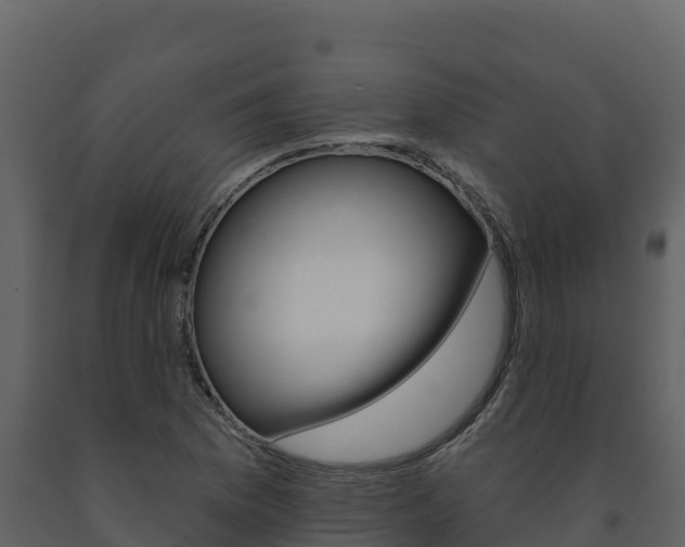 X0000091721169200708241013
