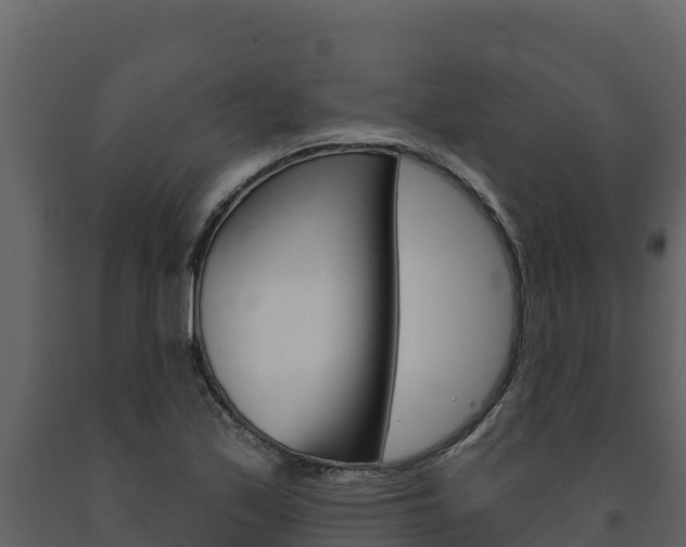 X0000091721171200708241013