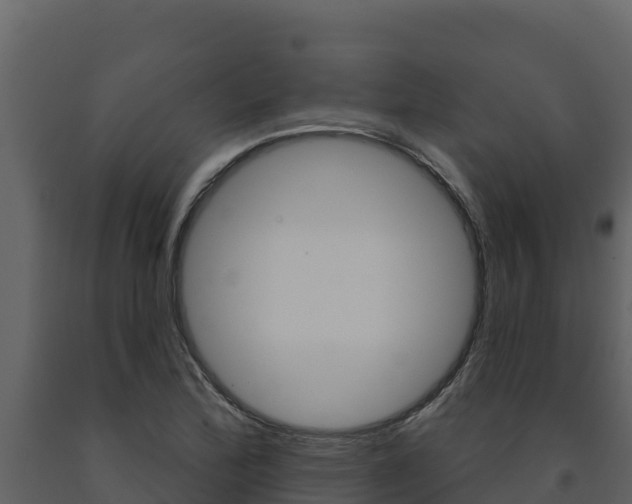 X0000091721172200708241013