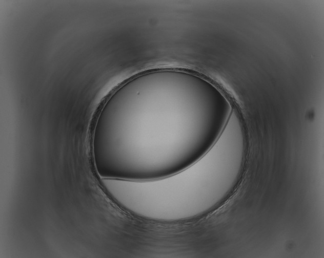 X0000091721173200708241012