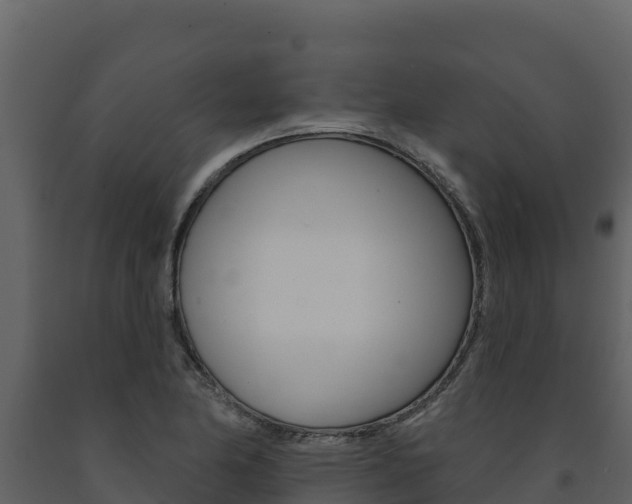 X0000091721174200708241012
