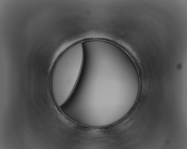 X0000091721175200708241012