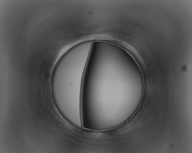 X0000091721176200708241012