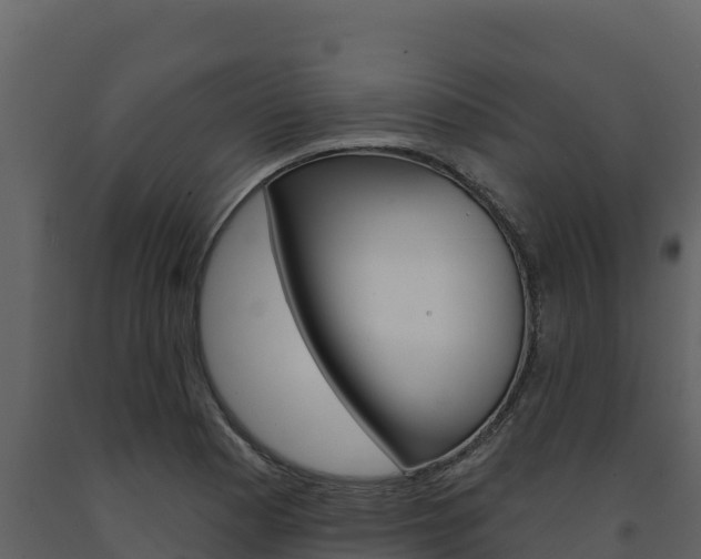 X0000091721177200708241012