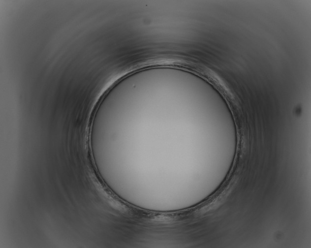 X0000091721178200708241012