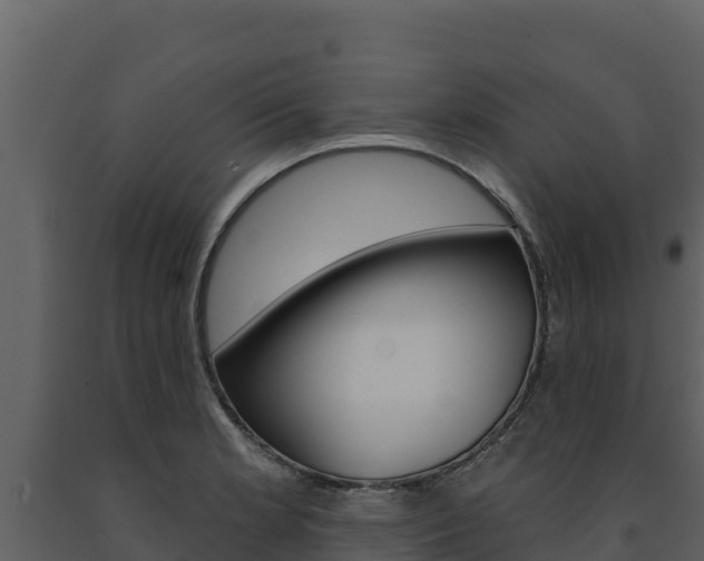 X0000091721181200708241012