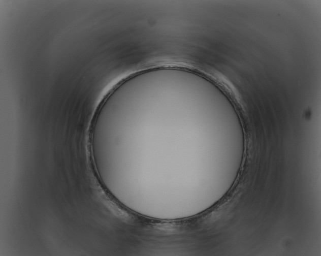 X0000091721182200708241012