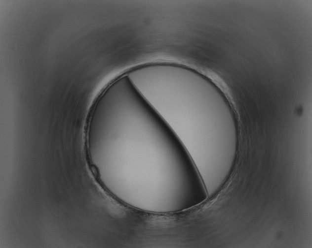 X0000091721183200708241012