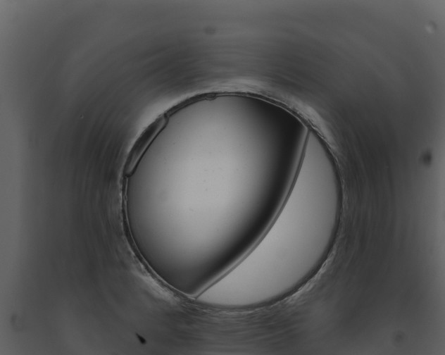 X0000091721184200708241012
