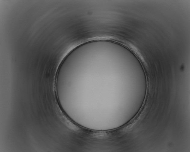X0000091721186200708241012