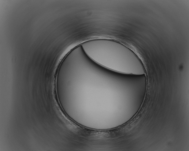 X0000091721187200708241012