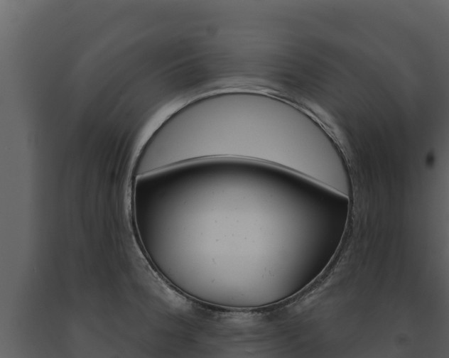 X0000091721188200708241012
