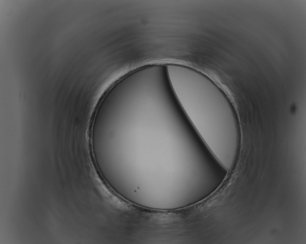 X0000091721189200708241012