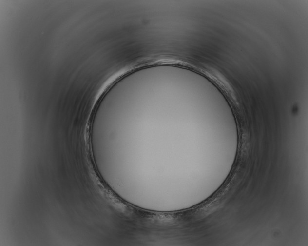 X0000091721190200708241012