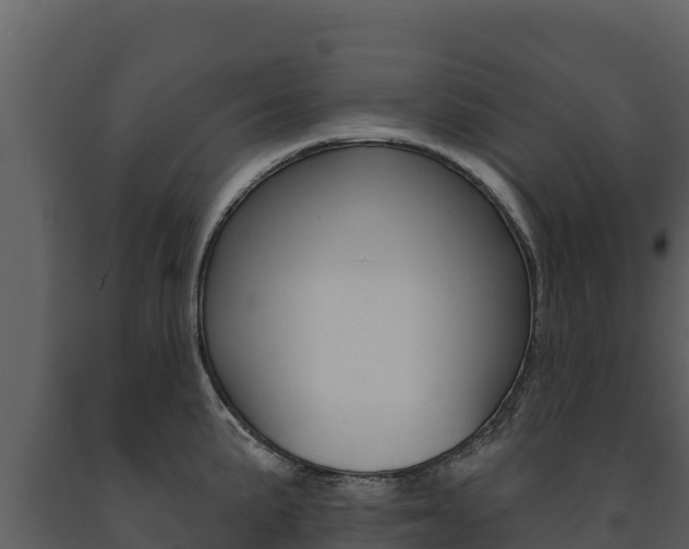 X0000091721191200708241012