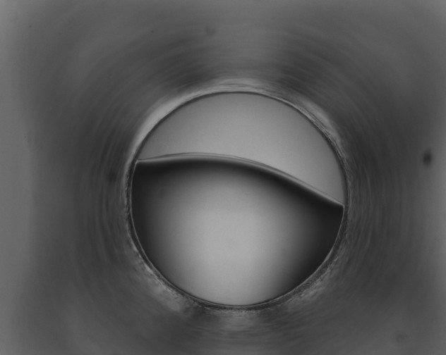 X0000091721192200708241012