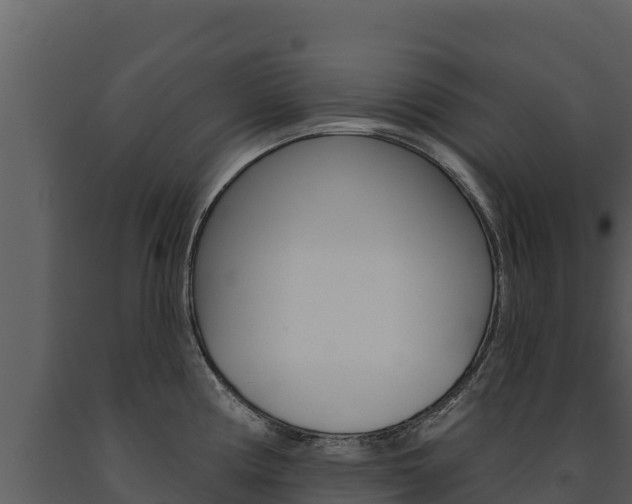 X0000091721194200708241012
